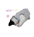 にゃん吉の1日（個別スタンプ：2）