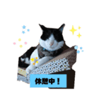 にゃん吉の1日（個別スタンプ：4）