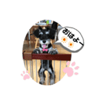 うめコロリ（個別スタンプ：4）