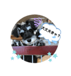 うめコロリ（個別スタンプ：7）