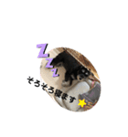 うめコロリ（個別スタンプ：10）