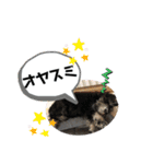 うめコロリ（個別スタンプ：12）