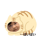 夢虎莉's（個別スタンプ：24）