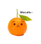 伊予弁みかーん（個別スタンプ：1）