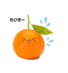 伊予弁みかーん（個別スタンプ：2）