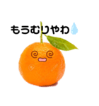 伊予弁みかーん（個別スタンプ：11）