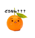 伊予弁みかーん（個別スタンプ：15）