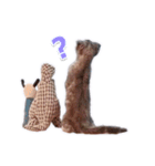 さくらちゃん(猫)のスタンプ（個別スタンプ：8）