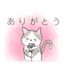 ほわほわ猫（個別スタンプ：1）