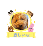 レオンソラ♡（個別スタンプ：1）