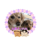 レオンソラ♡（個別スタンプ：2）