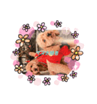 レオンソラ♡（個別スタンプ：4）