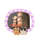 レオンソラ♡（個別スタンプ：6）