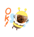 レオンソラ♡（個別スタンプ：7）