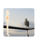 女子のための動物園あにまるず（個別スタンプ：1）