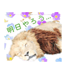 女子のための動物園あにまるず（個別スタンプ：4）