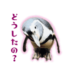 女子のための動物園あにまるず（個別スタンプ：6）