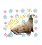 女子のための動物園あにまるず（個別スタンプ：7）