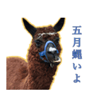 女子のための動物園あにまるず（個別スタンプ：8）
