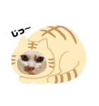 monakaneko2（個別スタンプ：4）