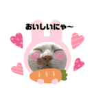monakaneko2（個別スタンプ：13）