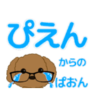 かわいい眼鏡トイプードルでか文字スタンプ（個別スタンプ：12）