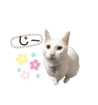 白玉のきもち（個別スタンプ：3）