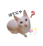 白玉のきもち（個別スタンプ：6）