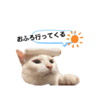 白玉のきもち（個別スタンプ：9）