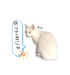 白玉のきもち（個別スタンプ：13）