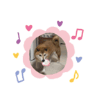 はるちゃんLOVE（個別スタンプ：4）