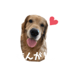 リックの日常①（個別スタンプ：2）
