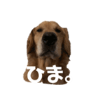 リックの日常①（個別スタンプ：3）