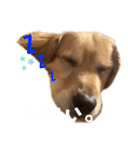 リックの日常①（個別スタンプ：4）