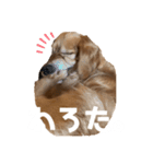 リックの日常①（個別スタンプ：5）