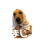 リックの日常①（個別スタンプ：6）