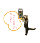 Life is Jazz（個別スタンプ：8）