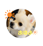 かいスタンプpart2（個別スタンプ：3）