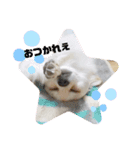 かいスタンプpart2（個別スタンプ：7）