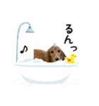 いとちゃん スタンプ（個別スタンプ：7）