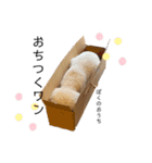 フーちゃんの日常スタンプ2（個別スタンプ：12）