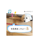 フーちゃんの日常スタンプ2（個別スタンプ：15）