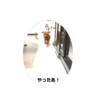 トイプードルの茶々丸（個別スタンプ：36）