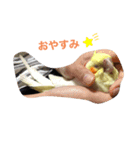 部長のぶーちゃん（個別スタンプ：1）