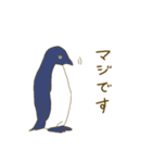 ペンギン達の談笑（個別スタンプ：17）