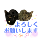 バステト敬語✨（個別スタンプ：2）