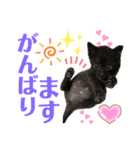 バステト敬語✨（個別スタンプ：7）