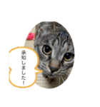 こばんスタンプ3（個別スタンプ：3）