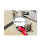 こばんスタンプ3（個別スタンプ：7）