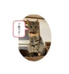 こばんスタンプ3（個別スタンプ：8）